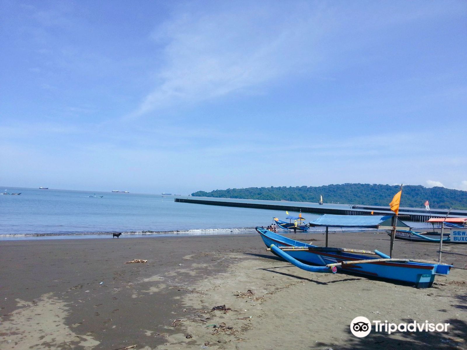 Penginapan Tersembunyi di Jantung Cilacap: Segap Homestay yang Menyatu dengan Alam